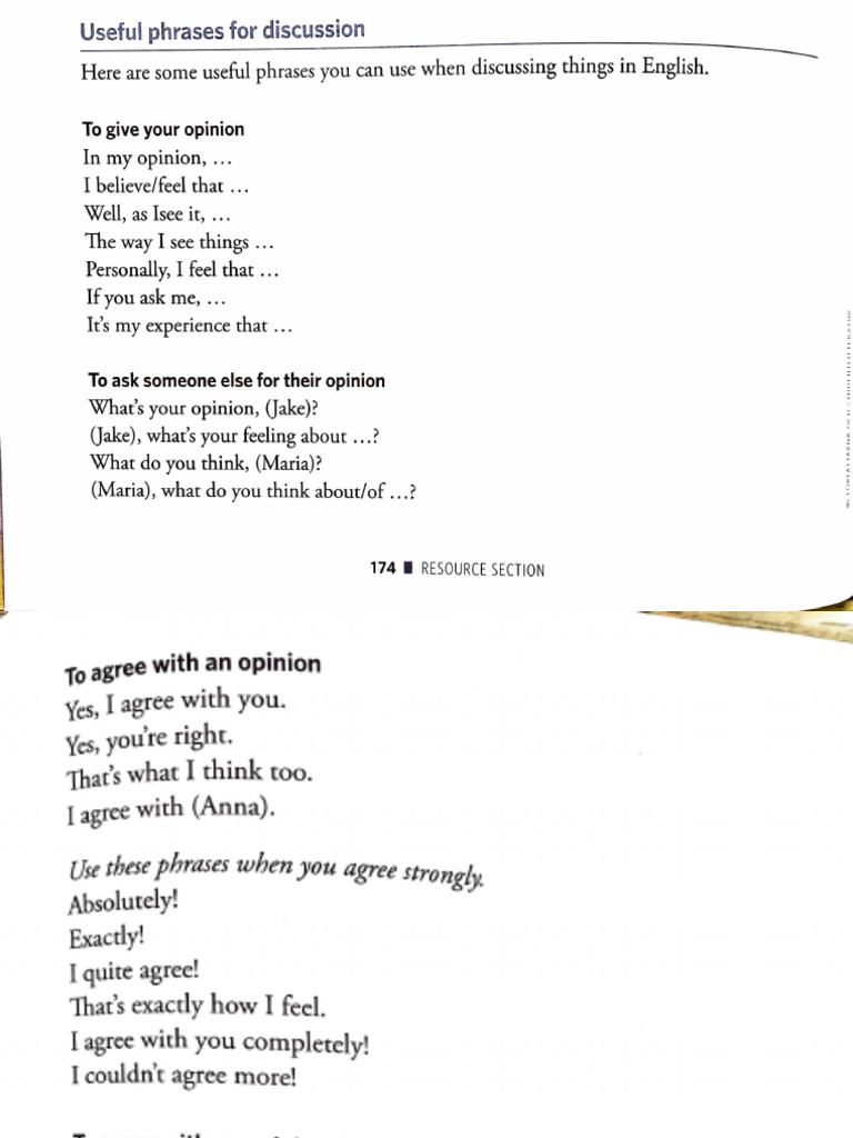 Essential English Discussion Phrases | PDF | Language Arts & Discipline