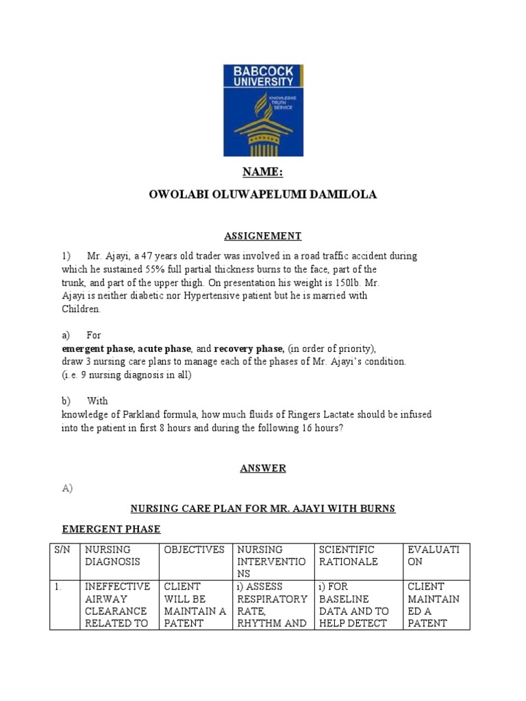 Burns Care Plan For All 3 Stages PDF Burn Wound