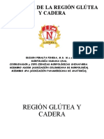 Region Glutea y Cadera