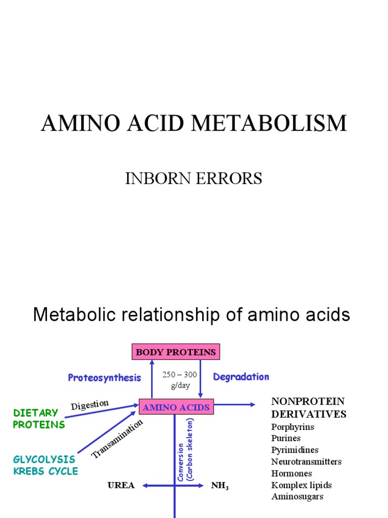 Amino Acids Metabolism | PDF | Amino Acid | Biosynthesis