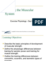 Training The Muscular System
