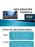 Inflamacion Cronica (Fisiopatologia 2022)