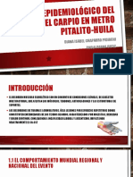 Sistema Epidemiológico Del Turne Del Carpio en Metro