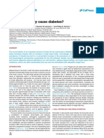 Dr-Samuel-Klein-Paper-Why-Obesite-causes-Diabetes-2022