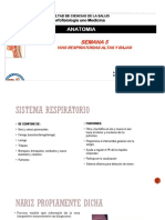 Vias Respiratorias-Anatomia