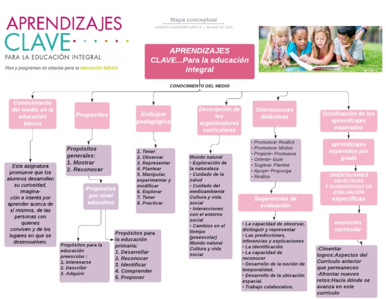 Mapa Conceptual | PDF | Plan de estudios | Educación de la primera infancia