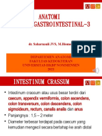 Anatomi Gastrointestinal 3 - With Audio 2