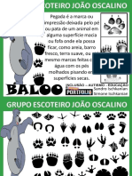 Identificando Pegadas Com o Baloo 11a2021