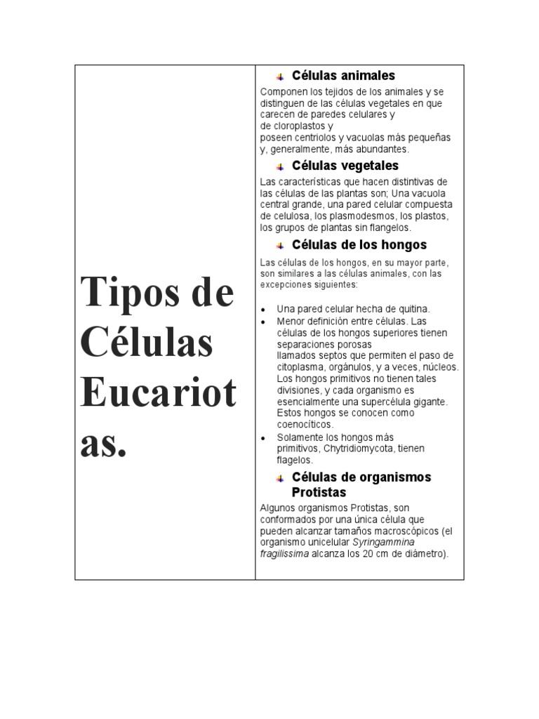 Tipos de Células Eucariotas | PDF | Ciencia y matemáticas
