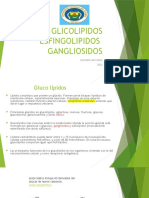 Glucólipidos y sus funciones