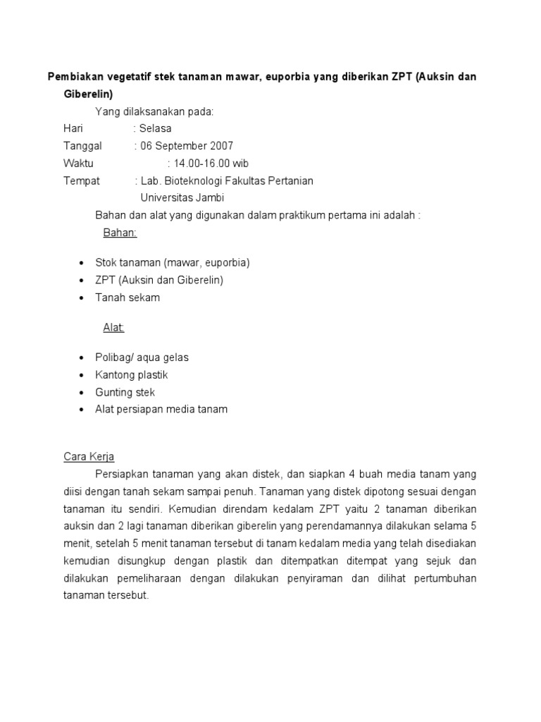 Makalah Stek Tanaman  Mawar Mawar Ku