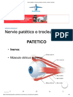 Nervio Patético o Troclear (Anatomia, Función, Relación, Lesiones)