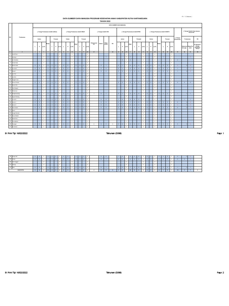 Form - 13. Data SDM Program Kesehatan Anak 2022.Xlsx - Tahunan (SDM ...