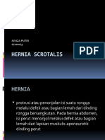 Hernia Scrotalis