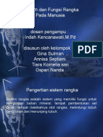 sistem rangka manusia ppt 