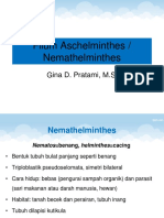 5 Filum Nemathelminthes & Aschelminthes