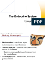 Mar 10 - Fisiologi Hormon Hypophysis