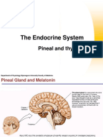 Pineal Gland and Thymus Hormones