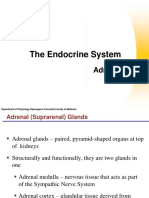 Mar 15 - Fisiologi Hormon Adrenal