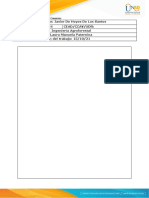 Anexo - Formato Identificación de Creencias