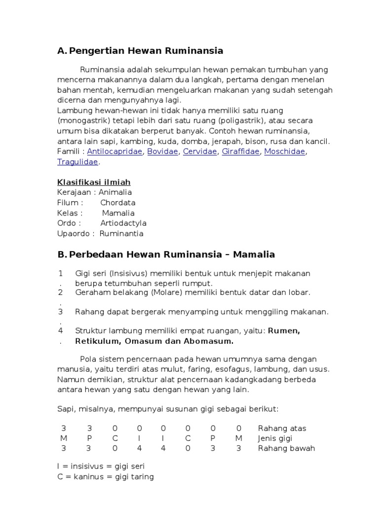 48 Gambar Saluran Pencernaan Hewan Ruminansia Gratis Terbaru