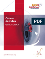Vulvar Cancer SPANISH