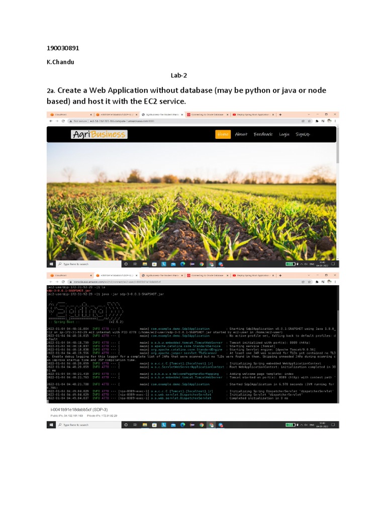 Web App Hosting on EC2 Without Database | PDF