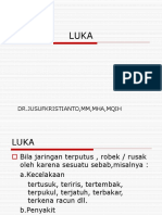 LUKA PDF