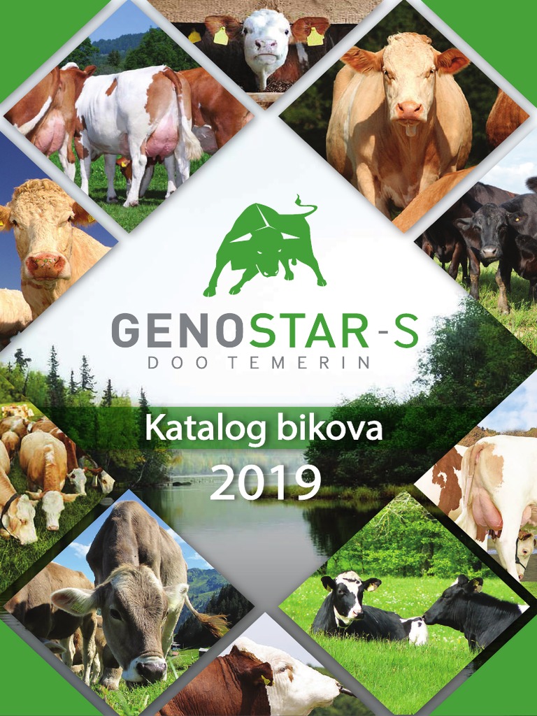 Katalog Bikova 2019327069565 | PDF