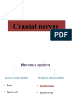 Cranial Nerves Mahi