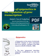 The Role of Epigenetics in The Regulation of Gene Transcription
