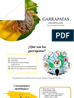 Garrapatas. Expo