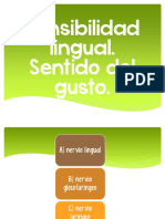 Sensibilidad Lingual