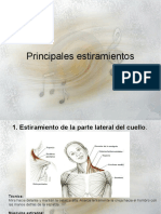 Principales Estiramientos ( PDFDrive )