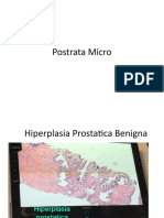 Postrata Micro