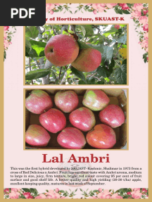 Apple Varieties