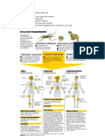 Ciencias NATURALES