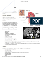 Carcinoma de Células Renales