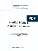 205413856 Studiul Biblic Al Noului Testament Anul 2