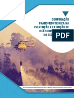 Informe Incendios Ea Pt