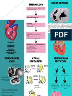 Cardiac Embryology Embryology Cardiac Septa: Cross-Section