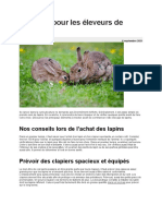 Conseils Pour Les Éleveurs de Lapins