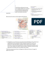 Semiología de Abdomen