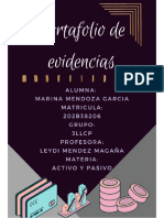 Portafolio de Evidencia Ayp