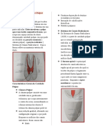 Anatomia Da Cavidade Pulpar