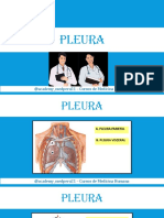 Clase 28 - Pleura