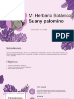 Diapositiva - Mi Herbario Botanico