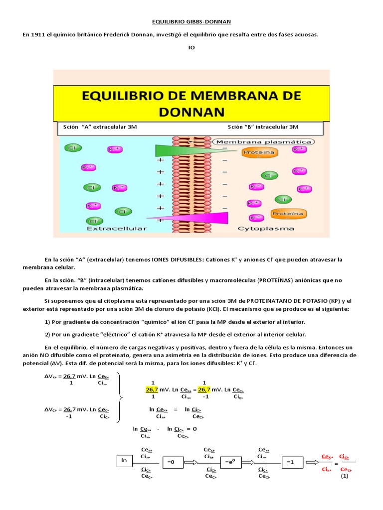 Equilibrio de GibbsDonnan en membranas celulares PDF Ion Química — free download