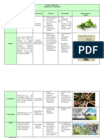 Cuadro Comparativo