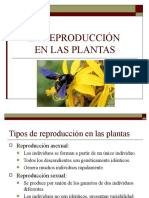 Reproduccion en Las Plantas